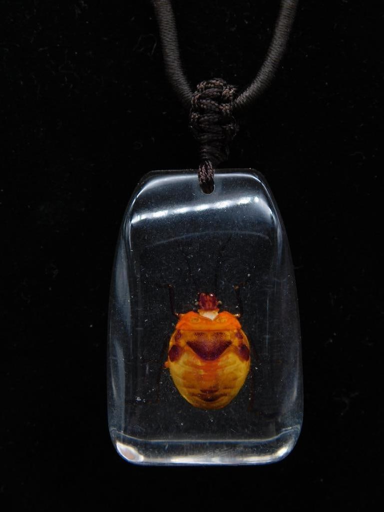 Pendant Necklace With BEETLE Embedded in Clear Resin: Pendant necklace featuring a turtle embedded in clear resin, suspended on a dark cord. Includes decorative bead accents near the pendant. The measurement of the pendant itself is provided by an adjace