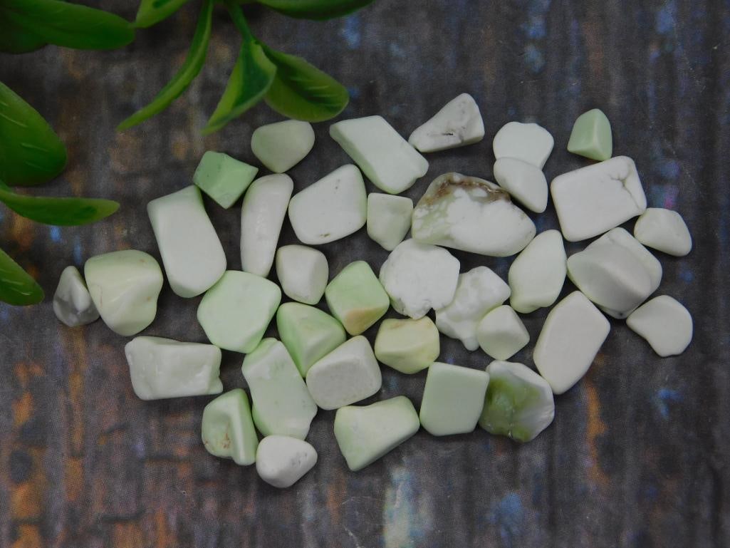 12 Grams of Lemon Chrysoprase Gemstones: Lot of 12 grams of polished Lemon Chrysoprase stones. Includes a variety of shapes and sizes with a light green and white coloration. Great for collection, crafting, or decorative purposes. Comes as s