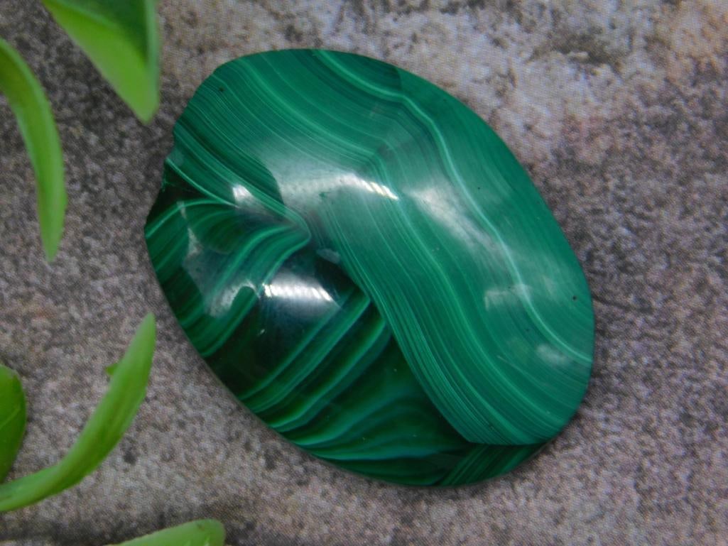 Polished Green Malachite Cabochon Stone: A polished green malachite cabochon gemstone with vivid striations and a smooth finish. Oval-shaped with natural swirling patterns characteristic of malachite. Presented next to a U.S. quarter for sca