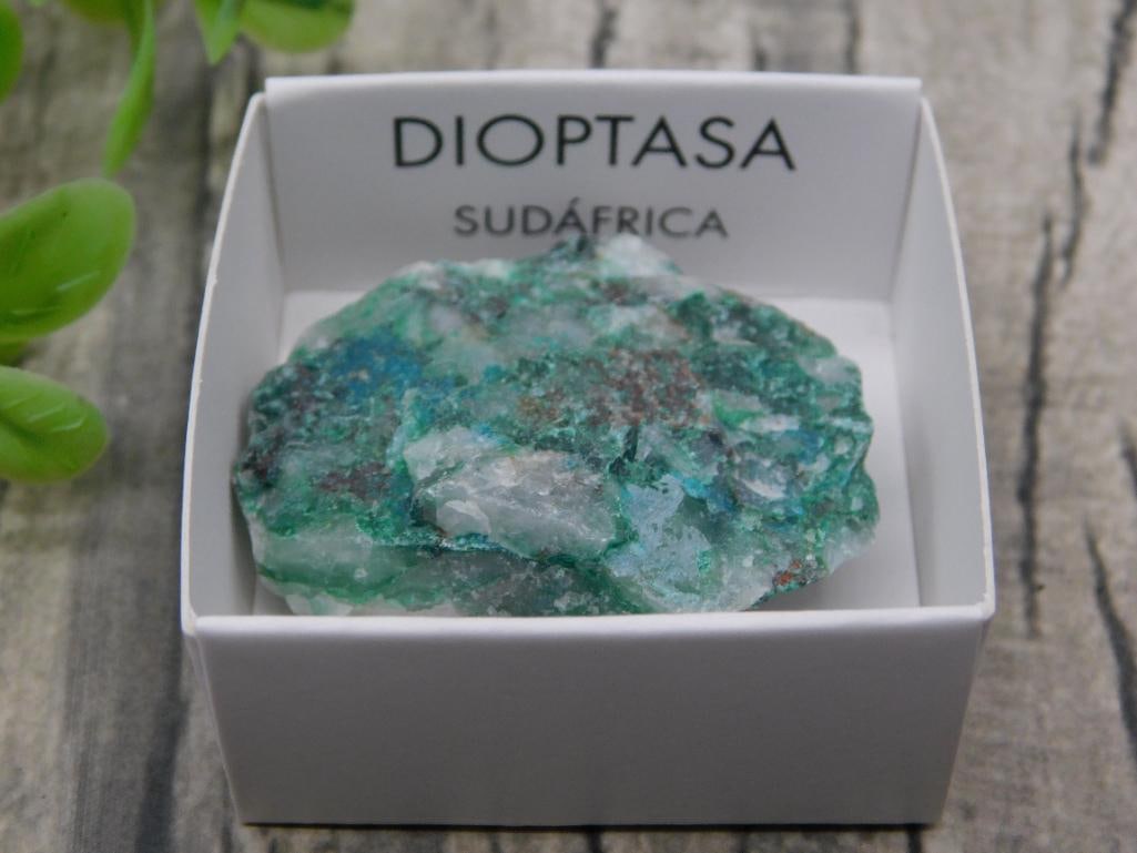 Dioptase Mineral Specimen from South Africa Rock Stone Lapidary Specimen: - Dioptase mineral specimen with a vibrant green and blue coloration. | - Origin labeled as 'Sudafrica' (South Africa), presented in a labeled display box. | - Specimen weight is indicated as 16 grams