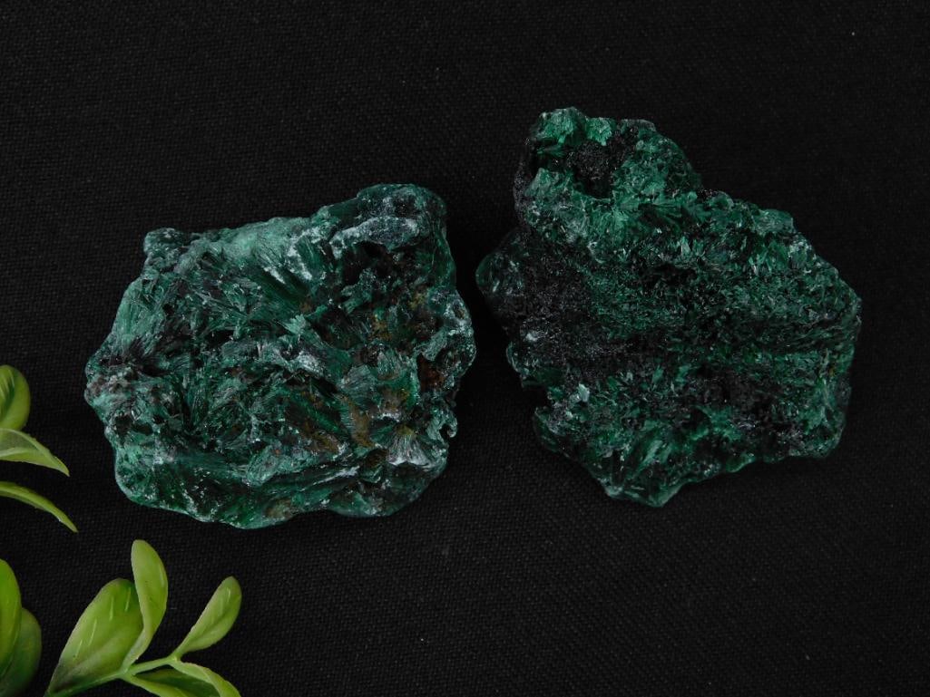 Malachite Rock Stone Lapidary Specimen: - Two natural malachite mineral specimens with rich green hues. | - Weight marked as 141 grams for the pair. | - Includes a reference coin (not part of the lot) for size comparison. | - Dimensions uns