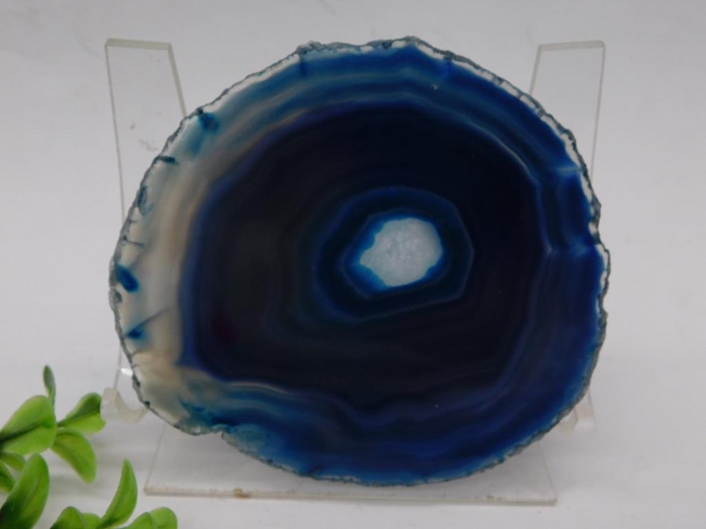 Blue Agate Slice Rock Stone Lapidary Specimen: - Natural blue agate slice featuring distinctive banding patterns | - Mounted on a clear display stand for showcasing | - Includes a ruler reference for size guideline | - Auction lot number 709562 as