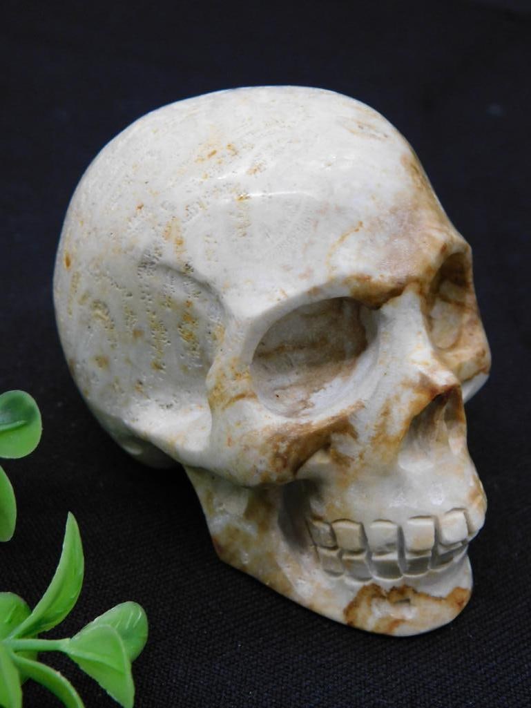 Carved Agate Skull Rock Stone Lapidary Specimen: - Hand-carved marble skull sculpture with a smooth and polished surface. | - Features realistic design details, including teeth and facial structure. | - Constructed with natural stone showcasing warm