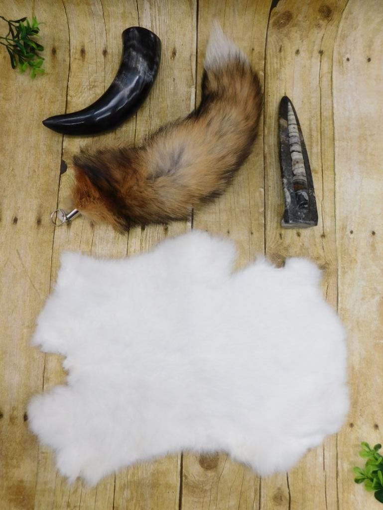 MIXED LOT FOSSILS TAXIDERMY PELTS FUR: MIXED LOT FOSSILS TAXIDERMY PELTS FUR