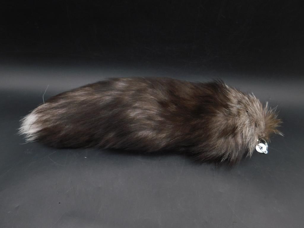 SILVER FOX TAIL TAXIDERMY: SILVER FOX TAIL TAXIDERMY