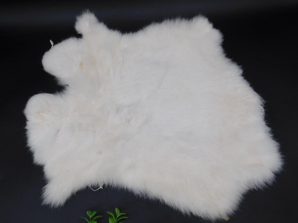 White RABBIT e Fur Animal Hide with Smooth Texture: White animal hide with soft fur texture and irregular edges. Includes ruler in the image for scale reference. Ideal for collectors or decoration purposes.