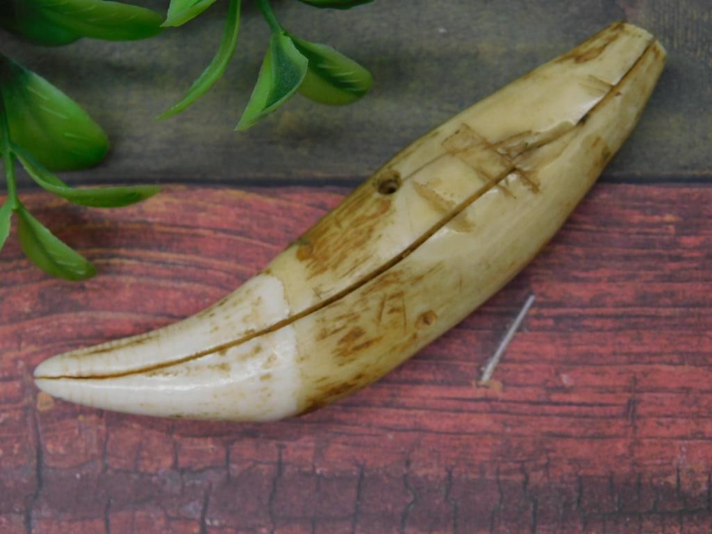 TAXIDERMY Animal Tooth Shaped Decor: Carved item resembling an animal tooth or fang, likely made of bone or a similar material. Includes visible line detailing and holes that suggest attached functionality either for decorative or practi