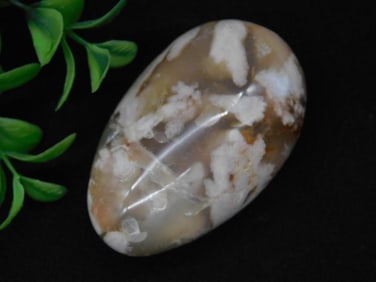 Hatmans Flower Petal Agate Rock Stone Lapidary Specimen