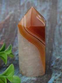 Carnelian Agate Crystal Point ROCK STONE LAPIDARY SPECIMEN