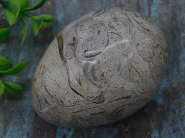 Carved Fossil Egg With Pattern Details ROCK STONE LAPIDARY SPECIMEN