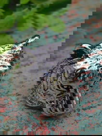 Silver-Tone Metal Tiger Head Ring, Size 9