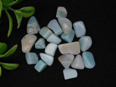 Mixed Amazonite Gemstones Weighing 12 Grams Rock Stone Lapidary Specimen