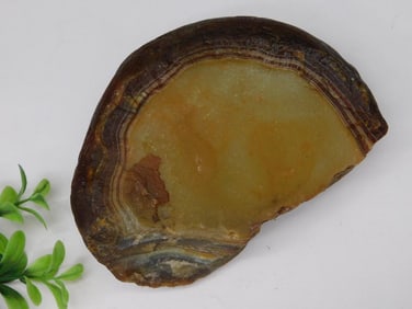 Brazilian Agate Rock Stone Lapidary Specimen