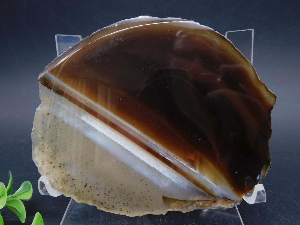 AGATE SLICE ROCK STONE LAPIDARY SPECIMEN: AGATE SLICE ROCK STONE LAPIDARY SPECIMEN