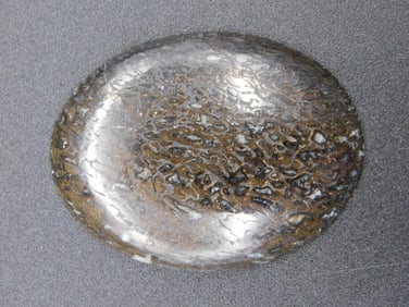 DINOSAUR BONE CABOCHON ROCK STONE LAPIDARY SPECIMEN