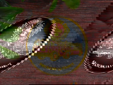 AMERICAN LA FRANCE FIRE DEPARTMENT CABOCHON MEDALLION