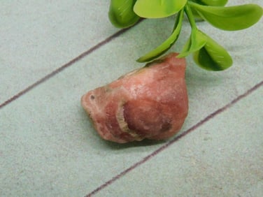 RHODOCHROSITE ROCK STONE LAPIDARY SPECIMEN