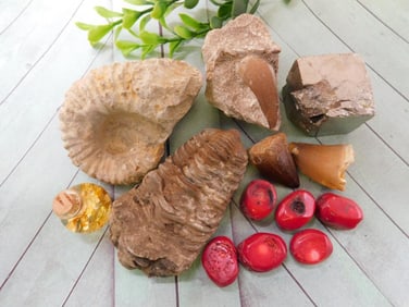 MIXED LOT ROCK STONE LAPIDARY SPECIMEN