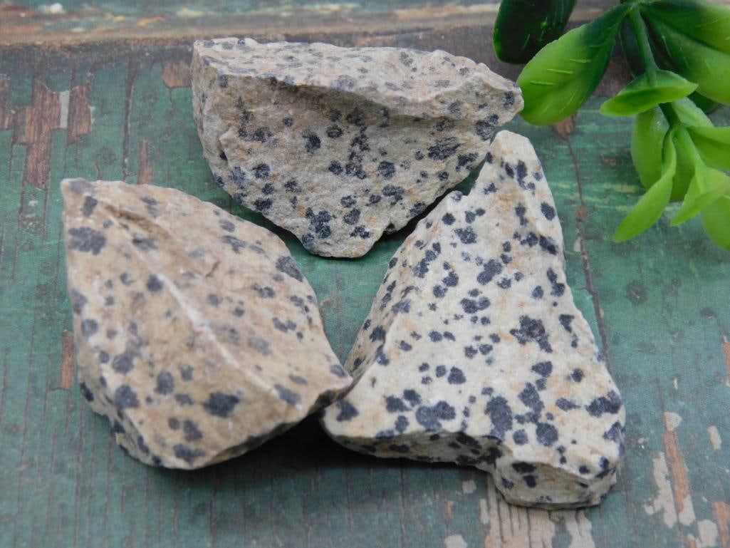 DALMATION JASPER ROCK STONE LAPIDARY SPECIMEN: DALMATION JASPER ROCK STONE LAPIDARY SPECIMEN