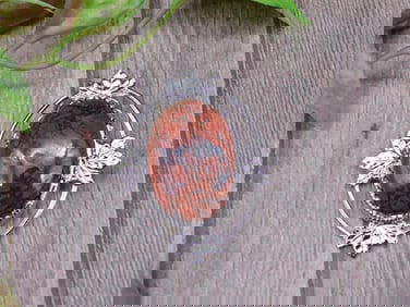 Silver-Tone Brooch With Red Oval Stone And Leaf Accents