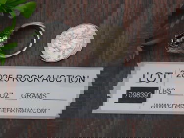 Silver Tone Wolf or Animal Head Ring