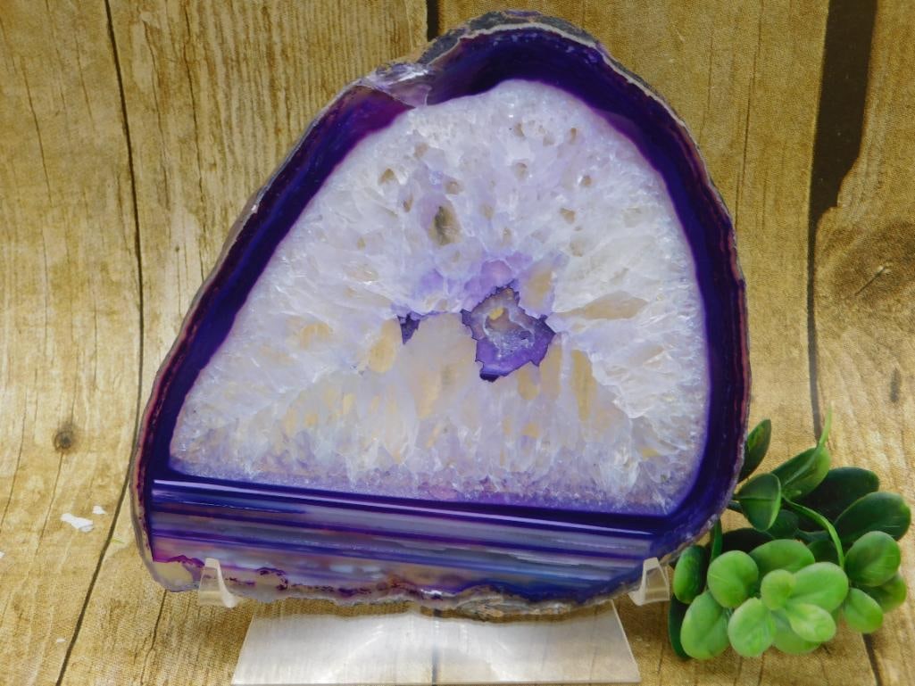 AGATE SLICE ROCK STONE LAPIDARY SPECIMEN: AGATE SLICE ROCK STONE LAPIDARY SPECIMEN
