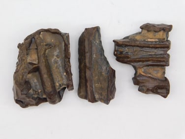STROMATOLITE ROCK STONE LAPIDARY SPECIMEN