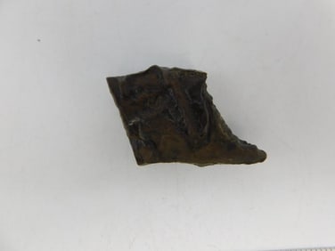 STROMATOLITE ROCK STONE LAPIDARY SPECIMEN