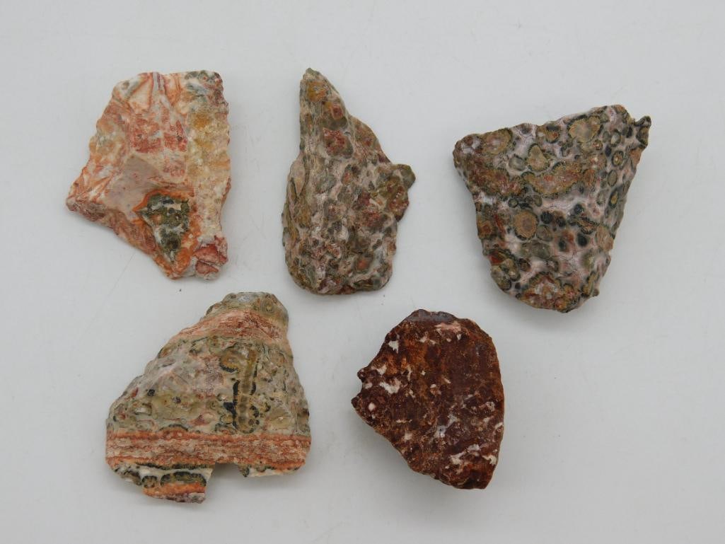 LEOPARD SKIN JASPER ROCK STONE LAPIDARY SPECIMEN: LEOPARD SKIN JASPER ROCK STONE LAPIDARY SPECIMEN