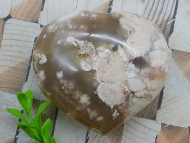 HATMANS FLOWER PETAL AGATE ROCK STONE LAPIDARY SPECIMEN