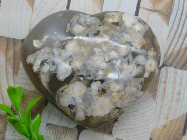 HATMANS FLOWER PETAL AGATE ROCK STONE LAPIDARY SPECIMEN
