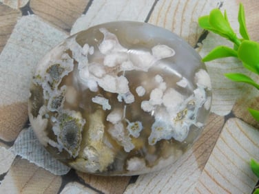 HATMANS FLOWER PETAL AGATE ROCK STONE LAPIDARY SPECIMEN