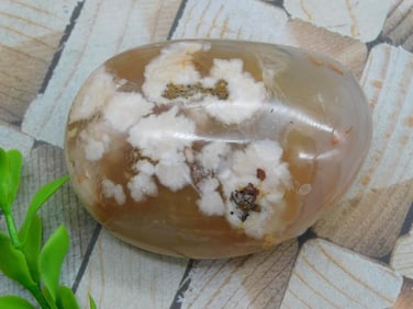 HATMANS FLOWER PETAL AGATE ROCK STONE LAPIDARY SPECIMEN