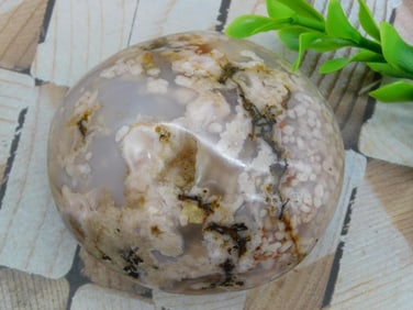 HATMANS FLOWER PETAL AGATE ROCK STONE LAPIDARY SPECIMEN