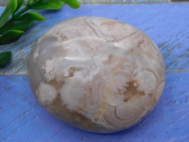 HATMANS FLOWER PETAL AGATE ROCK STONE LAPIDARY SPECIMEN