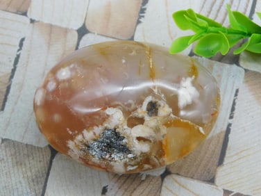 HATMANS FLOWER PETAL AGATE ROCK STONE LAPIDARY SPECIMEN
