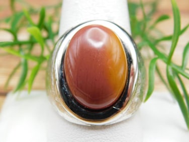 POLYCHROME JASPER RING ROCK STONE LAPIDARY SPECIMEN