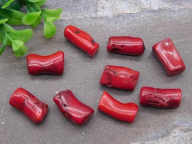 RED CORAL ROCK STONE LAPIDARY SPECIMEN