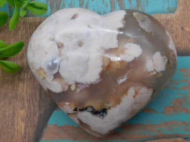 HATMANS FLOWER PETAL AGATE ROCK STONE LAPIDARY SPECIMEN