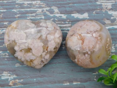 HATMANS FLOWER PETAL AGATE ROCK STONE LAPIDARY SPECIMEN