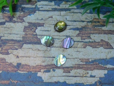 ABALONE CABOCHONS ROCK STONE LAPIDARY SPECIMEN