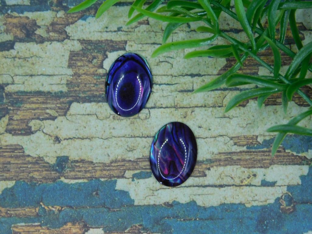 ABALONE CABOCHONS ROCK STONE LAPIDARY SPECIMEN: ABALONE CABOCHONS ROCK STONE LAPIDARY SPECIMEN