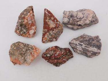 LEOPARD SKIN JASPER ROCK STONE LAPIDARY SPECIMEN