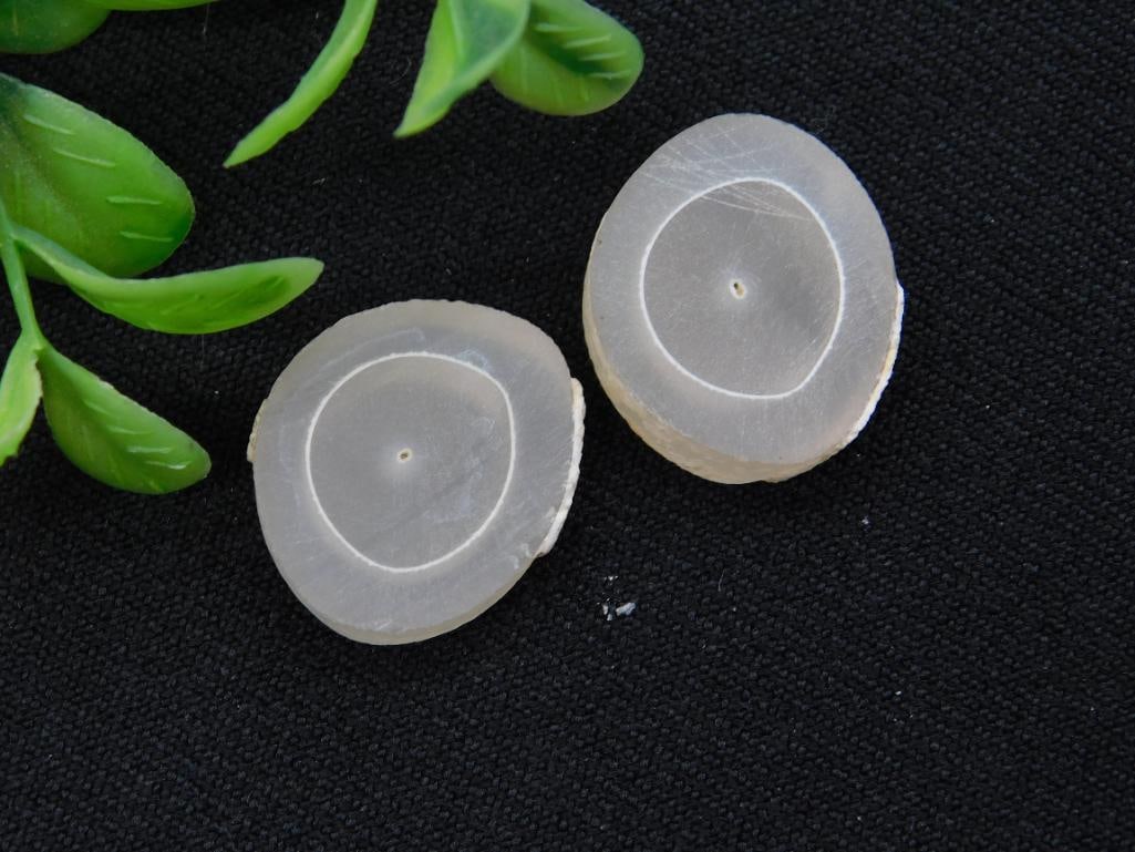 Pair of Circular Gemstone Slices, 7 Grams: A pair of translucent circular gemstone slices, featuring natural ring-like patterns. Weighing 7 grams collectively, these slices are showcased alongside a quarter for size reference. Ideal for collec