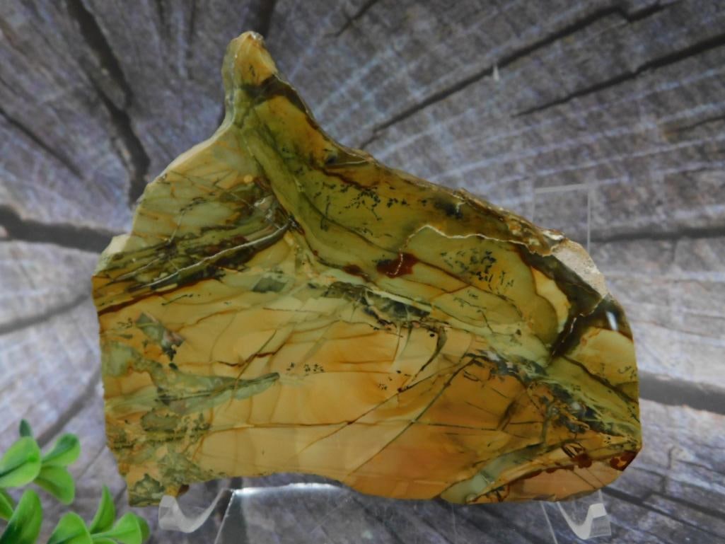 MORRISONITE JASPER SLAB ROCK STONE LAPIDARY SPECIMEN: MORRISONITE JASPER SLAB ROCK STONE LAPIDARY SPECIMEN<