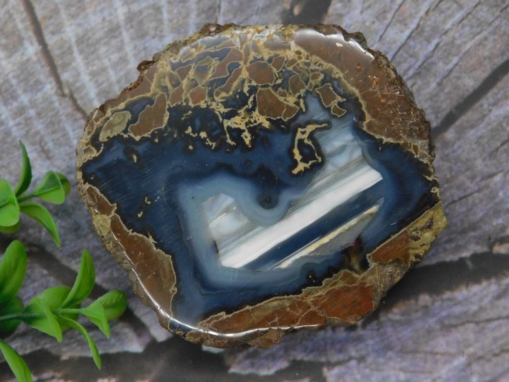 THUNDER EGG GEODE ROCK STONE LAPIDARY SPECIMEN: THUNDER EGG GEODE ROCK STONE LAPIDARY SPECIMEN