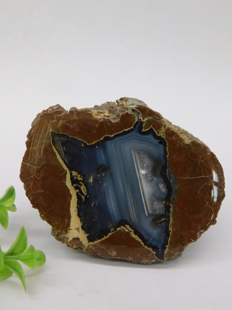 THUNDER EGG GEODE ROCK STONE LAPIDARY SPECIMEN: THUNDER EGG GEODE ROCK STONE LAPIDARY SPECIMEN