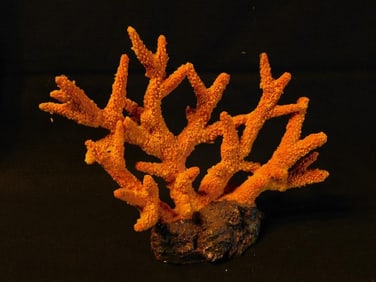 Orange Coral Decorative Sculpture on Natural Base Fish Tank Aquarium Decoration