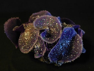Purple Anemone Specimen with Sparkling Crystals Fish Tank Aquarium Decoration