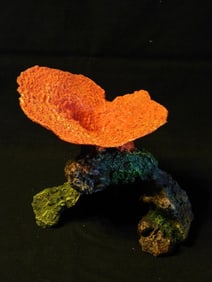 Vibrant Coral Specimen on Base for Display Fish Tank Aquarium Decoration